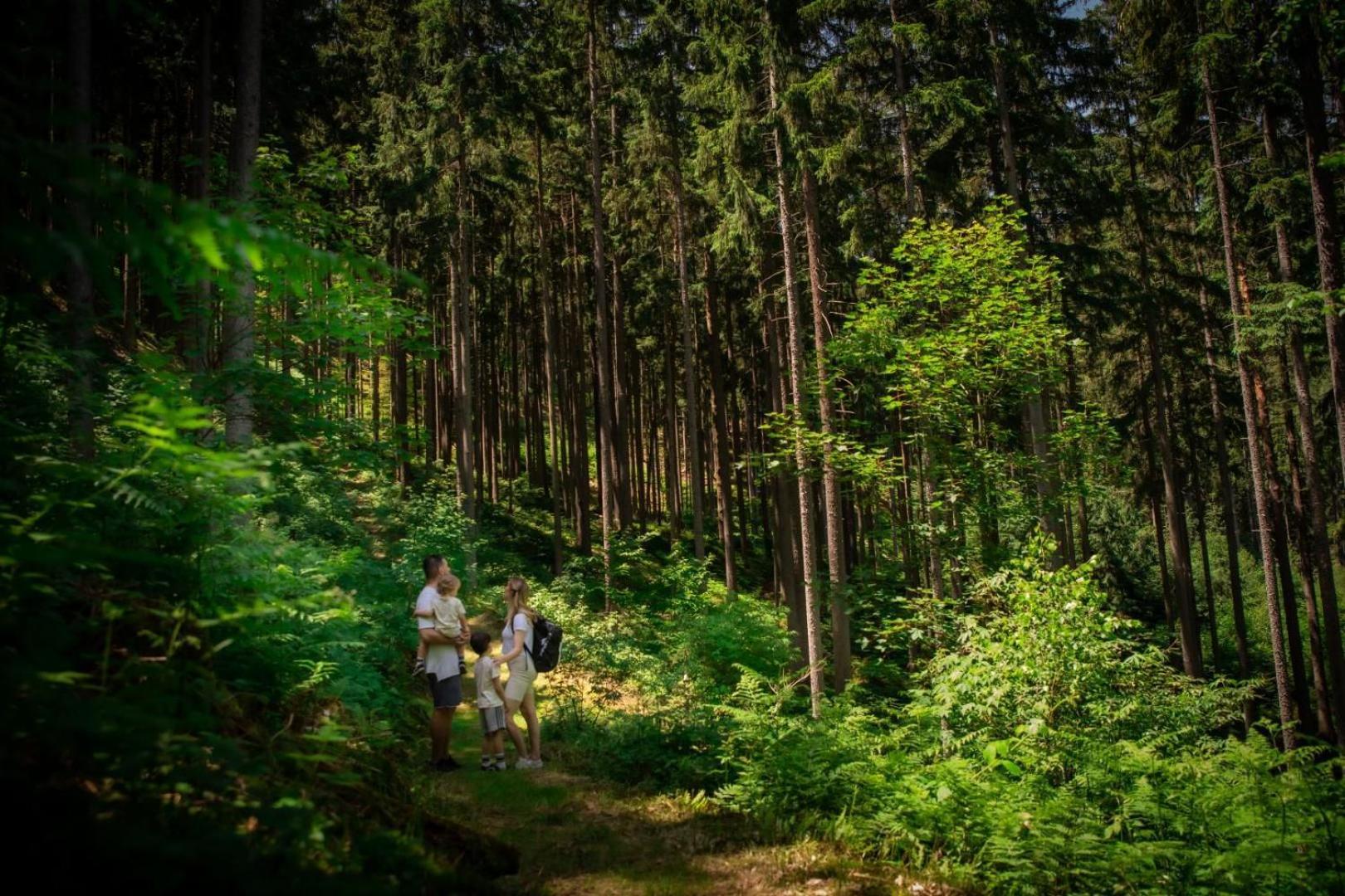 Hotel Thermana Park Lasko**** Superior Eksteriør bilde